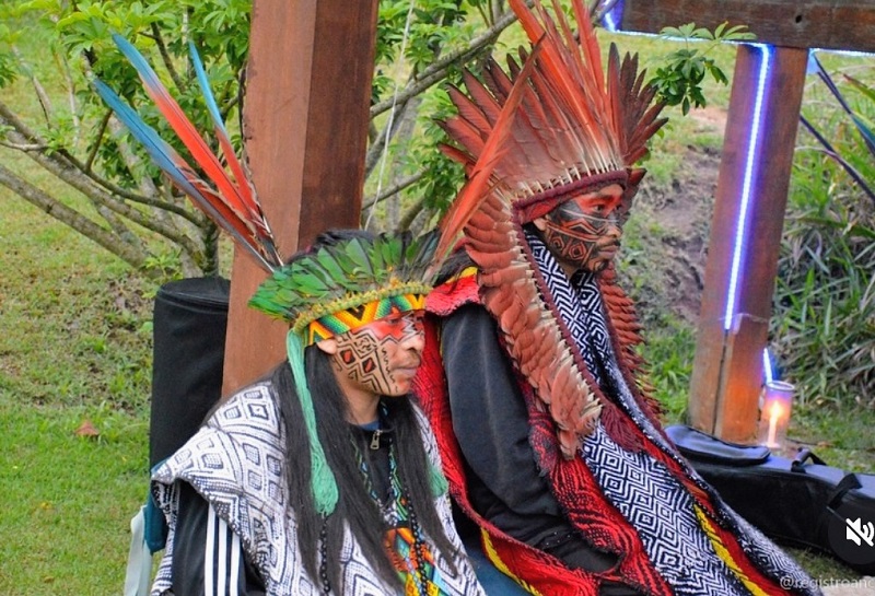 Detalhe de flores naturais